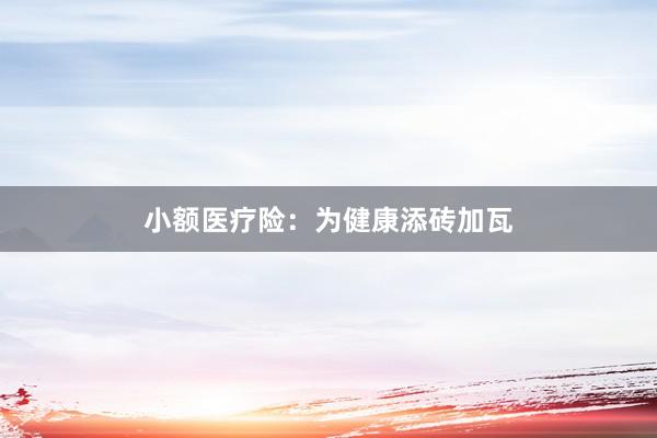 小额医疗险：为健康添砖加瓦